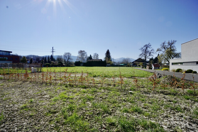 Sonnige 3 Zimmer Gartenwohnung in Lauterach zur Miete