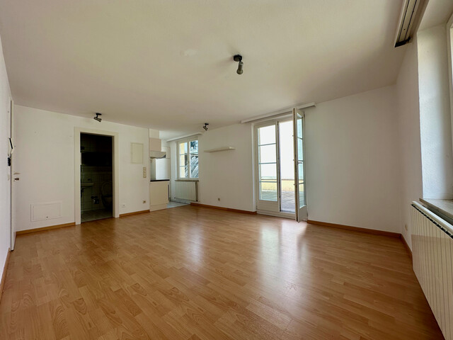 "ohne Provision" helle 1 Zimmer Stadtwohnung mit großer Terrasse