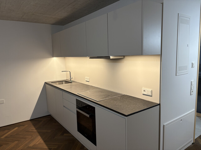 Neubau: Modernes möbliertes Appartement in zentraler Lage