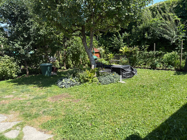 3-Zimmergartenwohnung in Bregenz provisionsfrei zu vermieten
