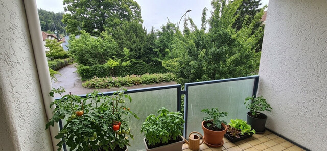 Gepflegte 2-Zi-Wohnung mit Terrasse und Tiefgarage in Bregenz – Perfekt zum Wohlfühlen!