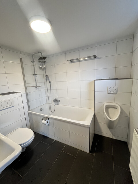 Renovierte 3,5 Zimmer-Wohnung mit großem Privatgarten, Gartenhaus, Carport und Keller in Höchst