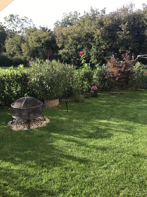 Traumhafte 3 Zimmer Gartenwohnung in ruhiger Lage in Hard 