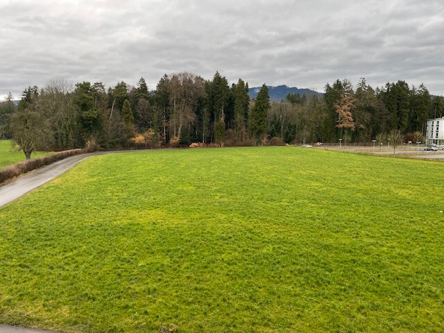 Neuwertige, lichtdurchflutete 3-Zimmer-Wohnung in Bodenseenähe zu verkaufen