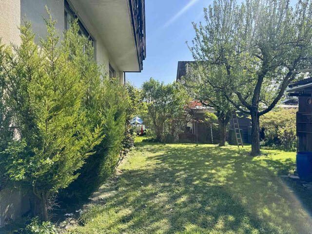 Ruhig gelegenes Einfamilienhaus nahe Alter Rhein und Schweizer Grenze