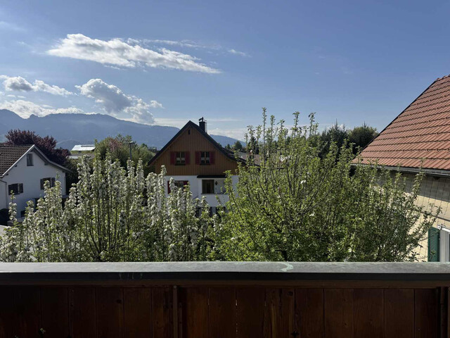 Ruhig gelegenes Einfamilienhaus nahe Alter Rhein und Schweizer Grenze