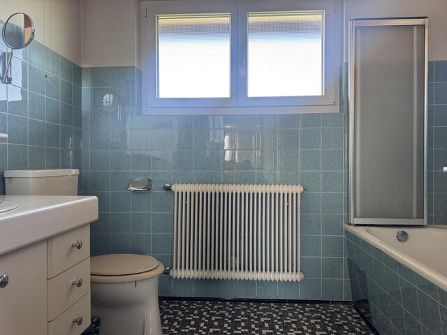 Ruhig gelegenes Einfamilienhaus nahe Alter Rhein und Schweizer Grenze