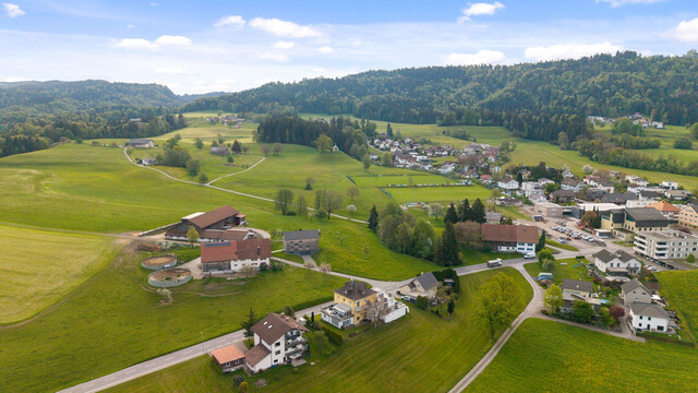Wunderschöne, neu renovierte 3-Zimmer Wohnung in Hohenweiler