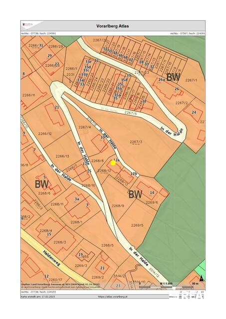 Leben über Bludenz!