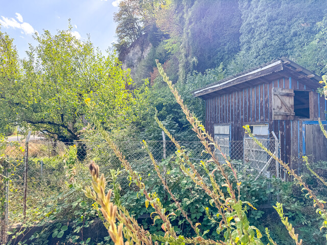 Renovierungsbedürftiges Haus mit vielseitigem Entwicklungspotenzial!