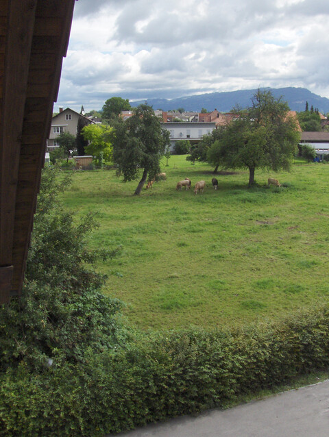 Lustenau,  heimelige Dachgeschosswohnung zur Miete in Top-Lage 