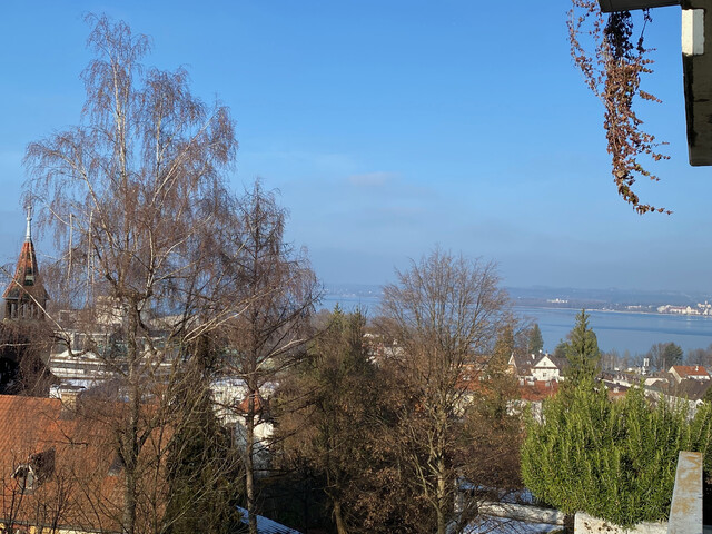 Sonnige Stadtwohnung mit Seesicht und grosser Terrasse, ruhig und zentral