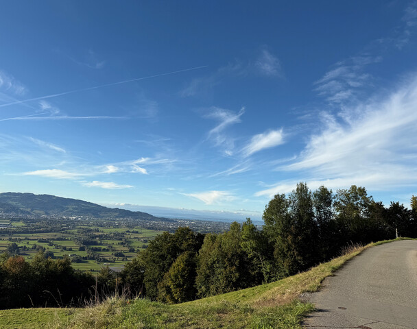 Haus mit Scheune und viel Potenzial / 950m2 Grundstück in Hohenems
