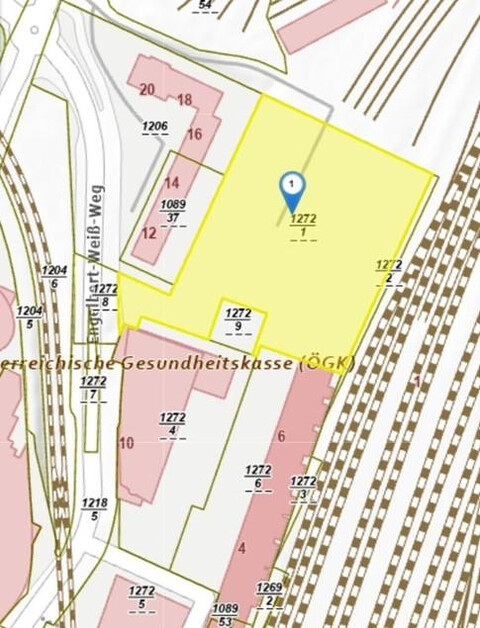 unbebaute Liegenschaft