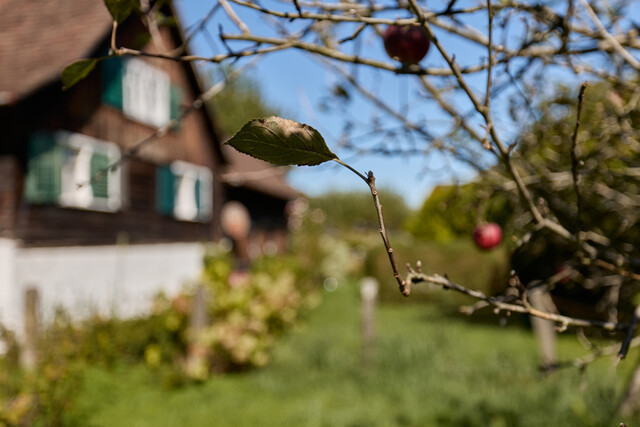 Beste Lage für Familien - Lustenau