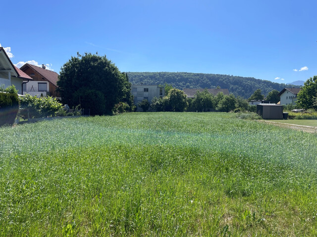 Traumhaftes Grundstück in Top Lage in Feldkirch Gisingen, 1365m² teilbar