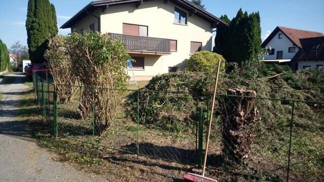 Großzügiges EFH in Fußach - Miete