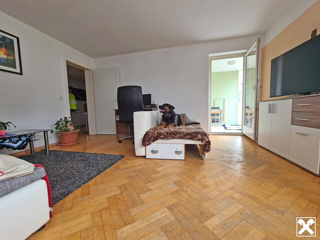 Raumwunder! 2-Zimmerwohnung mit Küche