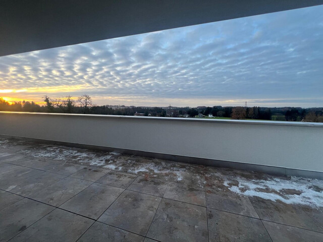 Penthouse in absoluter Ruhelage in Hohenweiler zur Miete