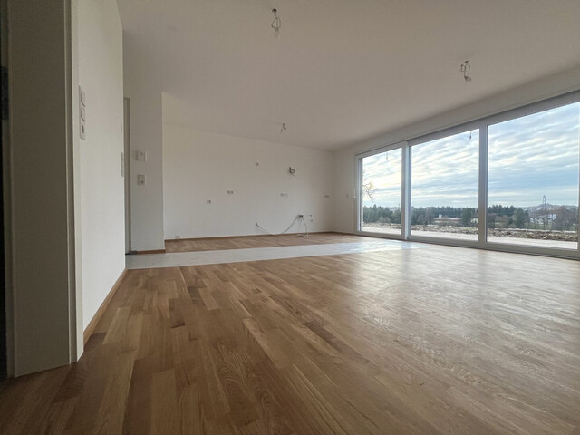 Penthouse in absoluter Ruhelage in Hohenweiler zur Miete