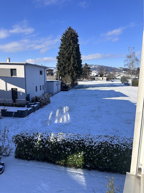 Modernes EFH in Lustenau (2017) – Gas, Solar; Riednähe – Traum-Aussicht!