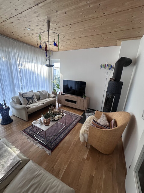 Modernes EFH in Lustenau (2017) – Gas, Solar; Riednähe – Traum-Aussicht!