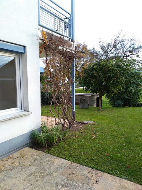 2,5-Zimmer Gartenwohnung in ruhiger Kleinwohnanlage in Lauterach 