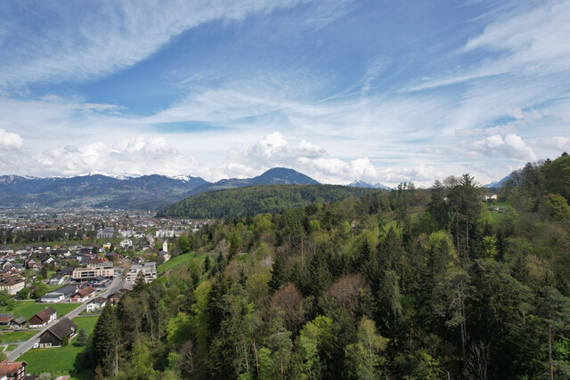 Hier beginnt Ihre persönliche Geschichte - Baugrundstück in Feldkirch