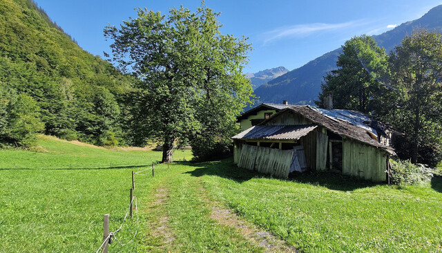 Sonniges Bauland und Landwirtschaftsfläche zu verkaufen
