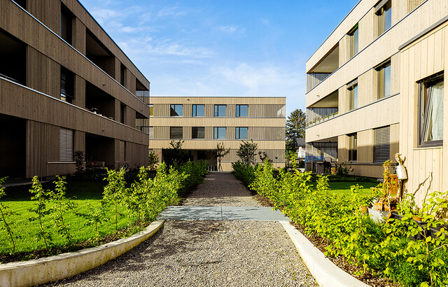 3-Zimmer-Dachgeschosswohnung | Sofortbezug (Top B13)