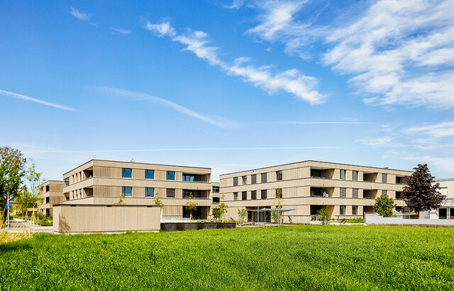 3-Zimmer-Dachgeschosswohnung | Sofortbezug (Top B13)