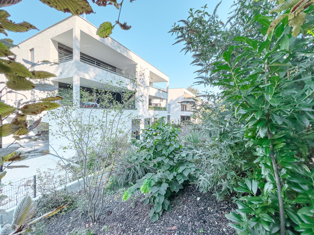 Sehr gepflegte 3-Zimmer-Wohnung mit großem Balkon in Höchst – Sonnengarten 26b