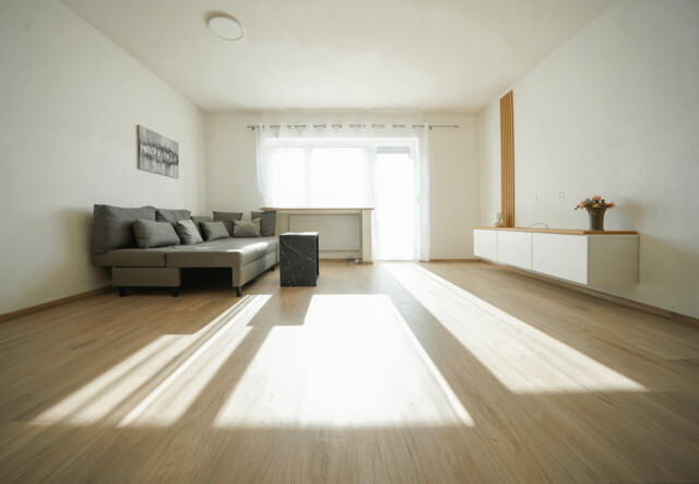 Modernisierte Ferienwohnung hoch über dem Rheintal