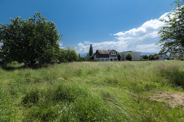 Perfekte Investition: Großzügiges Grundstück in Lustenau - 2140  m²