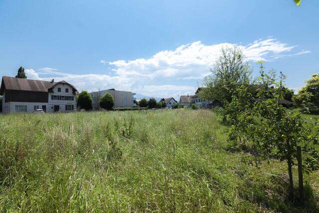 Perfekte Investition: Großzügiges Grundstück in Lustenau - 2140  m²