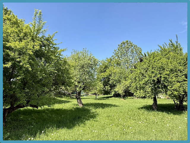 MEININGEN - Teilbares Grundstück in Top-Lage zu verkaufen!