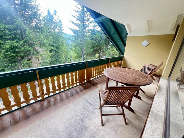 Neu saniertes 2-Familien Almhaus in ruhiger Lage