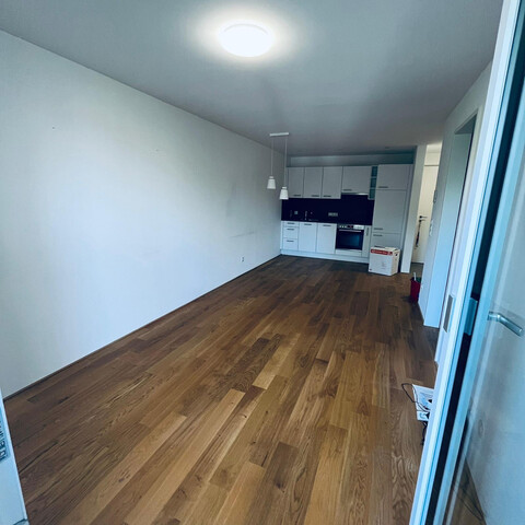 Neuwertige 2-Zimmer Balkonwohnung