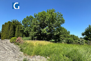 Seltenheit - Grundstück am Ortsrand von Gaißau mit Nähe zum See