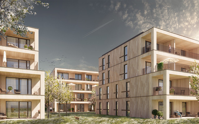 Haldengasse 18 a, Haus 2, Top 11