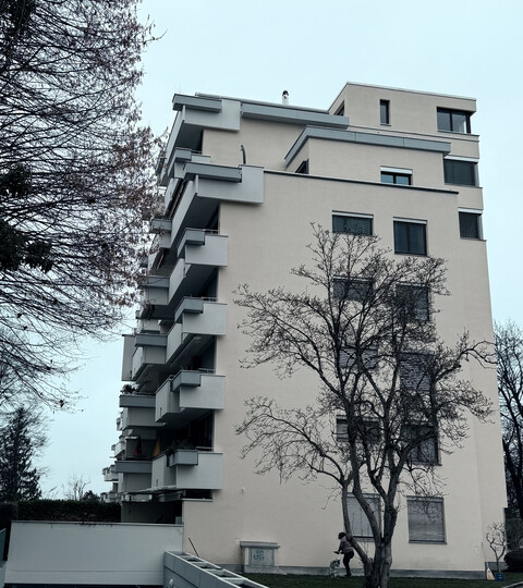Sonnige Stadtwohnung mit Seesicht und grosser Terrasse, ruhig und zentral