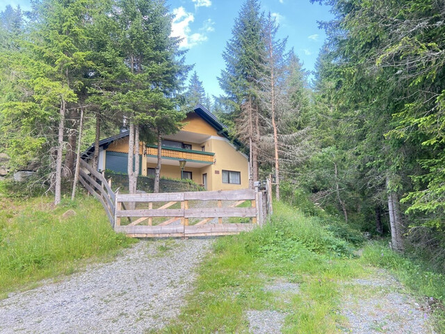 Neu saniertes 2-Familien Almhaus in ruhiger Lage