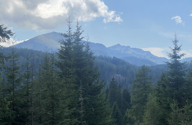 Neu saniertes 2-Familien Almhaus in ruhiger Lage