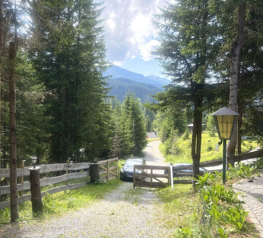 Neu saniertes 2-Familien Almhaus in ruhiger Lage