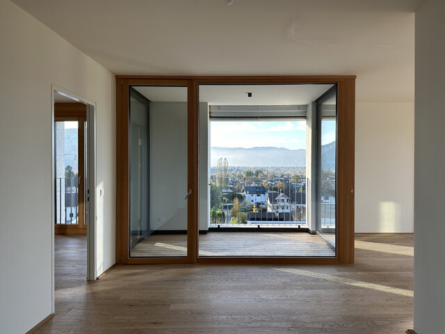 Helle, großzügige 2-Zimmer-Wohnung mit einmaligem Blick übers Rheintal