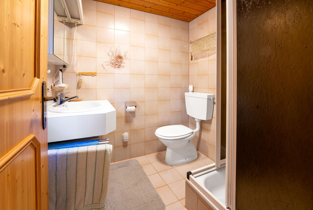 Ferienhaus in absoluter Toplage auf dem Pfänder - grenzenlose Freiheit mit Alpenblick