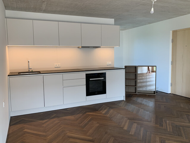 Neubau: Modernes möbliertes Appartement in zentraler Lage