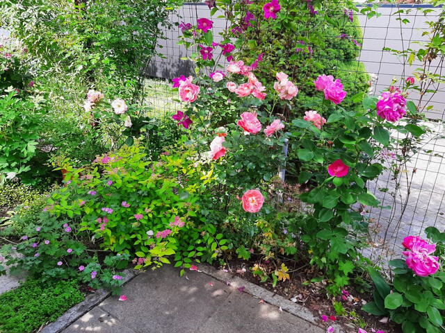 Gemütliche 4-Zimmer-Dachgeschosswohnung, provisionsfreie 