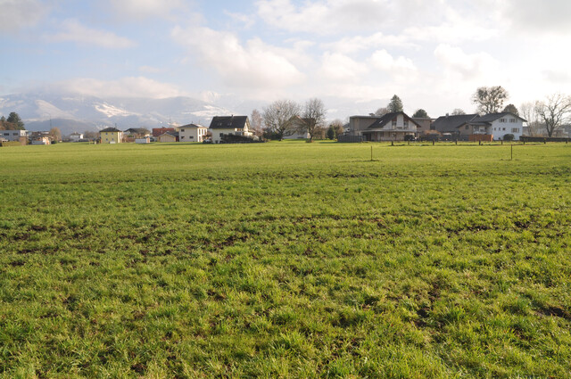 Grundstück mit einer Fläche von 1.000 bis 1.200m2 in bester Lage in Meiningen, auch teilbar, zu verkaufen