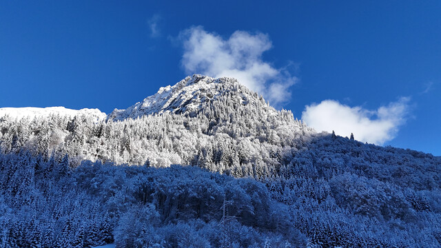 Ihr Platz zum Ankommen – traumhafte Baugrundstücke in Toplage!